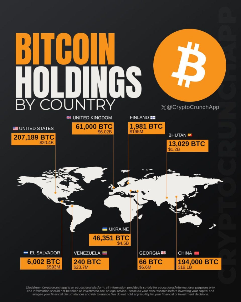 Bitcoin Holdings by Country