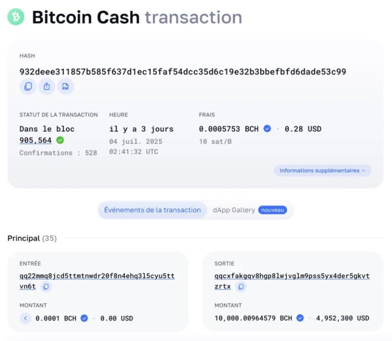 BCH Transaction